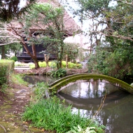 猫寺20120930_014.JPG